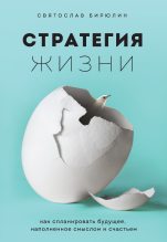 Книга - Святослав  Бирюлин - Стратегия жизни. Как спланировать будущее, наполненное смыслом и счастьем (fb2) читать без регистрации
