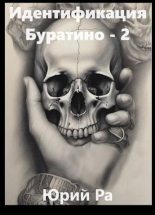 Книга - Юрий  Ра - Идентификация Буратино – 2 (fb2) читать без регистрации