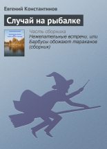 Книга - Евгений Михайлович Константинов - Случай на рыбалке (fb2) читать без регистрации