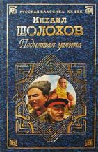 Книга - Михаил Александрович Шолохов - Поднятая целина (fb2) читать без регистрации