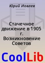 Книга -    - Стачечное движение в 1905 г. Возникновение Советов (fb2) читать без регистрации