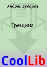 Книга - Андрей  Бударов - Трещина (fb2) читать без регистрации