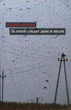 Книга - Юлия Михайловна Кокошко - За мной следят дым и песок (fb2) читать без регистрации