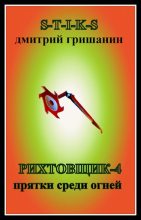 Книга - Дмитрий Анатольевич Гришанин - Прятки среди огней (fb2) читать без регистрации