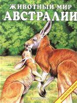 Книга -   Коллектив авторов - Животный мир Австралии (epub) читать без регистрации