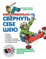 Книга - Низами  Софиев - Как правильно не свернуть себе шею (fb2) читать без регистрации