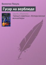 Книга - Валентин Саввич Пикуль - Гусар на верблюде (fb2) читать без регистрации