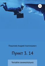 Книга - Андрей Анатольевич Пошатаев - Пункт 3. 14 (fb2) читать без регистрации