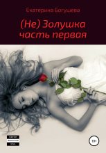 Книга - Екатерина Сергеевна Богушева - Не Золушка (fb2) читать без регистрации