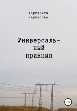 Книга - Маргарита  Черкасова - Универсальный принцип (fb2) читать без регистрации