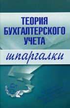 Книга - Юлия Анатольевна Дараева - Теория бухгалтерского учета (fb2) читать без регистрации