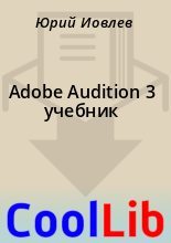Книга -    - Adobe Audition 3 учебник (fb2) читать без регистрации