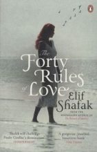 Книга - Элиф  Шафак - Сорок правил любви  (fb2) читать без регистрации