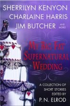 Книга - Джим  Батчер - Похищение (fb2) читать без регистрации