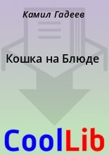 Книга - Камил  Гадеев - Кошка на Блюде (fb2) читать без регистрации