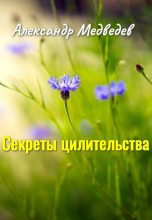 Книга - Александр Николаевич Медведев - Секреты целительства (fb2) читать без регистрации