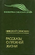 Книга - Николай Яковлевич Самохин - Внутренний голос (fb2) читать без регистрации