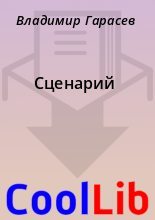 Книга - Владимир  Гарасев - Сценарий (fb2) читать без регистрации