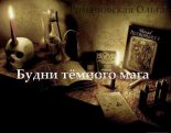 Книга - Ольга  Романовская - Будни тёмного мага (fb2) читать без регистрации