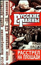 Книга - Игорь Николаевич Лебедев - Расстрел на площади (fb2) читать без регистрации