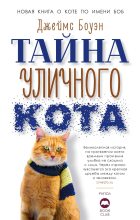 Книга - Джеймс  Боуэн - Тайна уличного кота (fb2) читать без регистрации