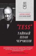 Книга - Александр  Сосновский - «ГESS». Тайный план Черчилля (fb2) читать без регистрации