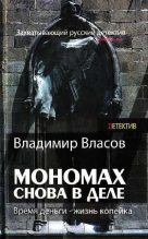 Книга - Владимир Г. Власов - Мономах. Снова в деле (fb2) читать без регистрации