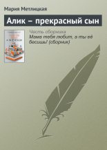 Книга - Мария  Метлицкая - Алик – прекрасный сын (fb2) читать без регистрации