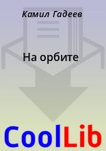 Книга - Камил  Гадеев - На орбите (fb2) читать без регистрации