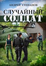 Книга - Андрей Дмитриевич Степанов - Случайный солдат (fb2) читать без регистрации