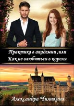 Книга - Александра  Чиликина - Практика в академии, или Как не влюбиться в короля (fb2) читать без регистрации