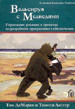 Книга - Том  Демарко - Вальсируя с медведями (fb2) читать без регистрации