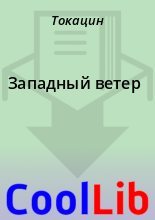 Книга -   Токацин - Западный ветер (fb2) читать без регистрации