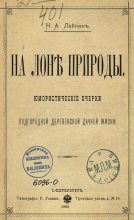 Книга - Николай Александрович Лейкин - В деревне (fb2) читать без регистрации