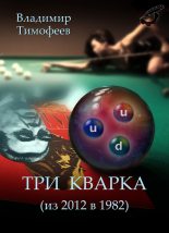Книга - Владимир Анатольевич Тимофеев - Три кварка (из 2012 в 1982) (fb2) читать без регистрации