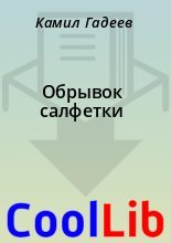 Книга - Камил  Гадеев - Обрывок салфетки (fb2) читать без регистрации