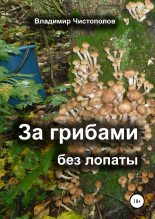 Книга - Владимир Иванович Чистополов - За грибами без лопаты (fb2) читать без регистрации