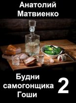 Книга - Анатолий Евгеньевич Матвиенко - Мир и нир (fb2) читать без регистрации