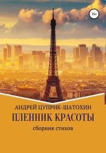 Книга - Андрей  Цуприк - Пленник красоты (fb2) читать без регистрации