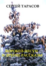 Книга - Сергей  Тарасов - Воробей-несун и погоня (fb2) читать без регистрации