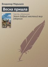 Книга - Владимир Михайлович Марышев - Весна пришла (fb2) читать без регистрации