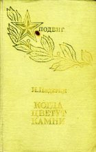 Книга - Иван Григорьевич Падерин - Когда цветут камни (fb2) читать без регистрации