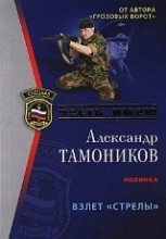 Книга - Александр Александрович Тамоников - Взлет «Стрелы» (fb2) читать без регистрации