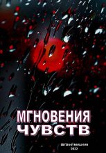 Книга - Евгений  Мишкин - Мгновения чувств (fb2) читать без регистрации