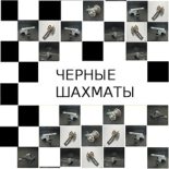 Книга - Михаил Григорьевич Бобров - Черные шахматы (fb2) читать без регистрации