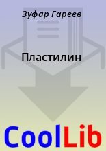 Книга - Зуфар  Гареев - Пластилин (fb2) читать без регистрации