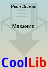 Книга - Иван  Шаман - Механик (fb2) читать без регистрации