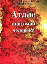 Книга - Эдуард Викторович Семенов - Атлас анатомии человека (pdf) читать без регистрации