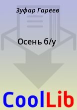 Книга - Зуфар  Гареев - Осень б/у (fb2) читать без регистрации