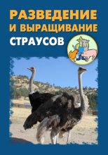 Книга - Илья  Мельников - Разведение и выращивание страусов (fb2) читать без регистрации